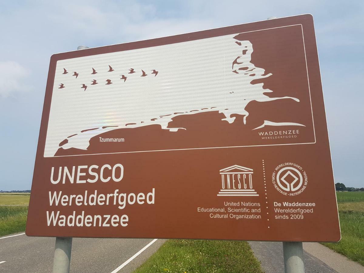 "Wattengebiet Entdeckungsreise" Tzummarum Zewnętrze zdjęcie
